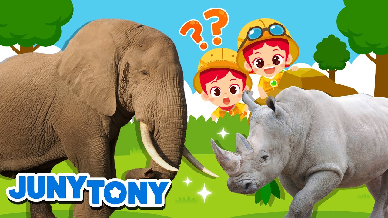 Os Maiores Animais | Elefante e Rinoceronte | Curiosidades | Música Infantil | JunyTony em Português