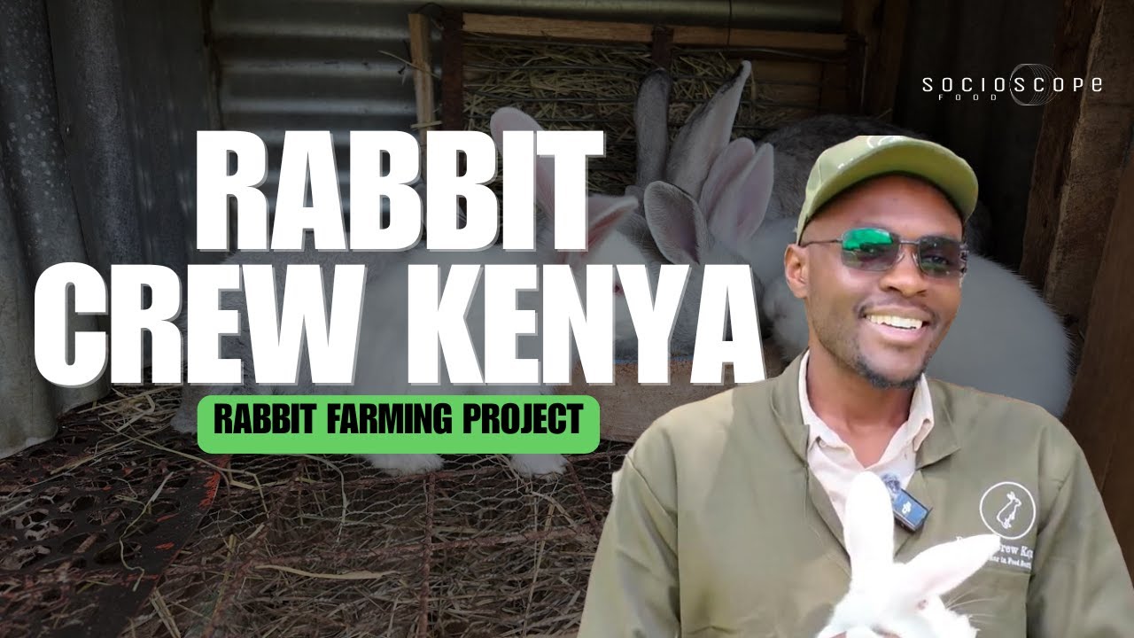 Rabbit Farming in Kenya: Meat Production and Consumption - Rabbit Crew (Kiserian, Kenya)