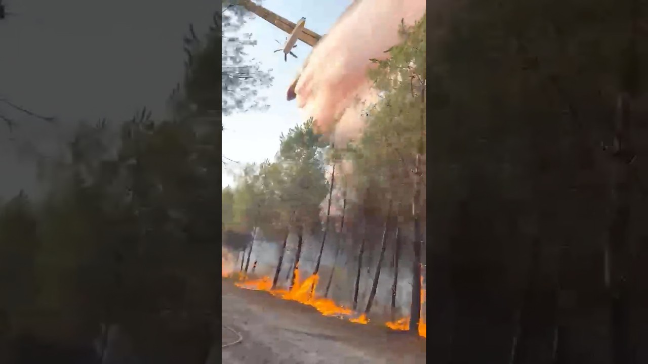SUPER CANADAIR FIREFIGHTING 🤩 ✈️ 🔥 #wildfire #aviation #bomberos #incendio #firefighter #canadair