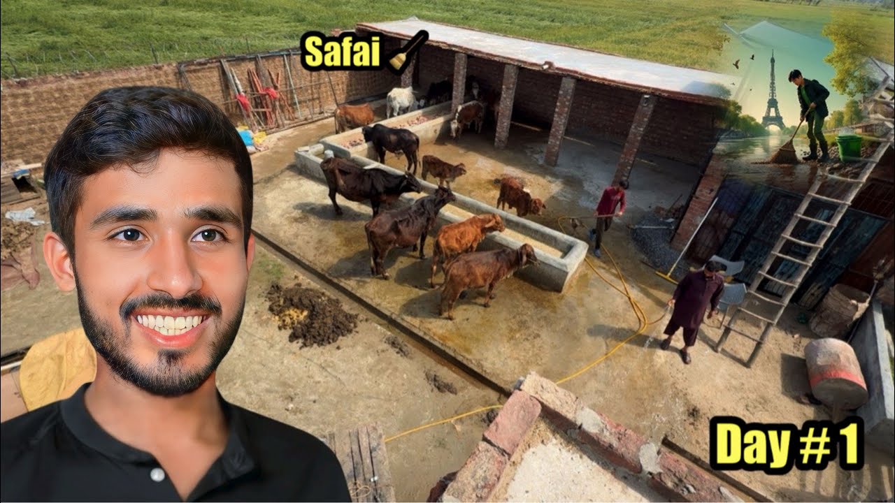 Puri Haveli Ki Safai 🧹Kar Di 😱 Day#1 / Goat Farming 