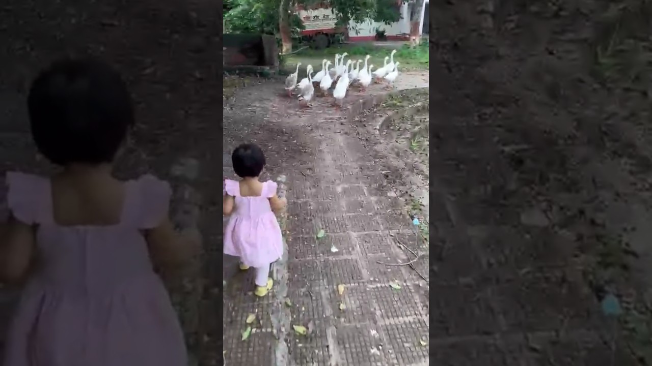 #chotte chotte tamashe #cutebaby #viralupdate #trending video #baby