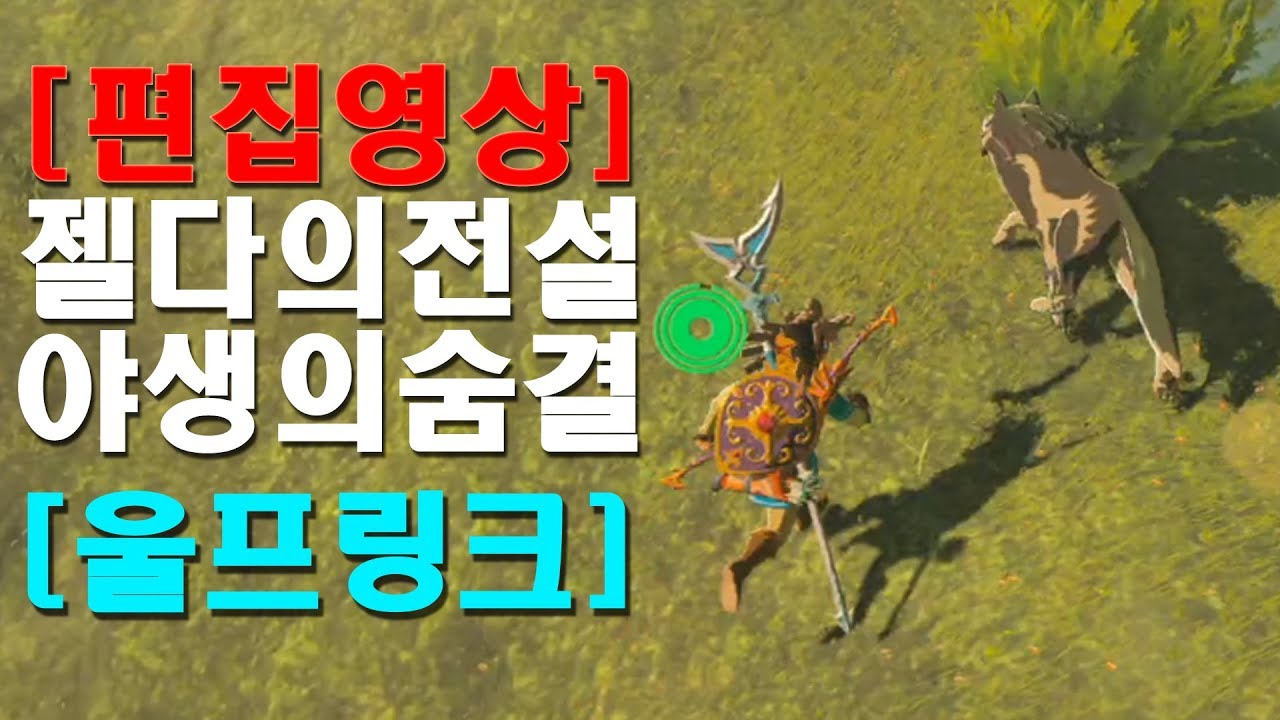[젤다의전설] 울프링크 아미보!!!