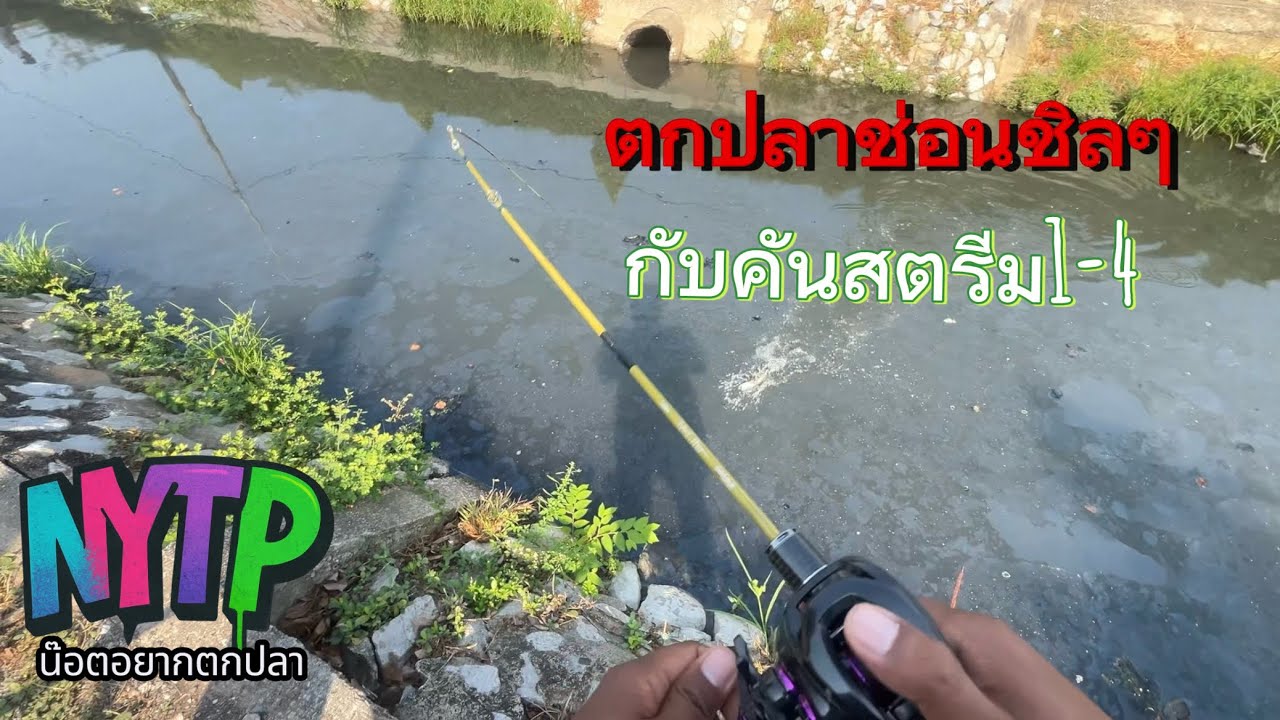 ตกTexas ด้วยคันสตรีมลำธาร1-4 มือใหม่อย่างผมจะได้สักกี่ตัว #nytp #น๊อตอยากตกปลา #streetfishing 
