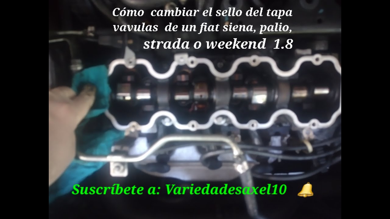 Cómo cambiar el  sello del tapa válvulas de un Fiat Siena, palio, strada o weekend 1 8