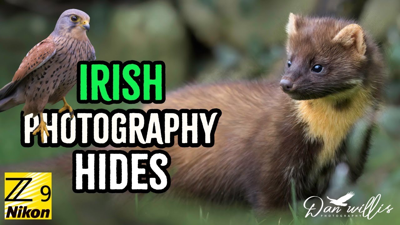 Irish Photography Hides