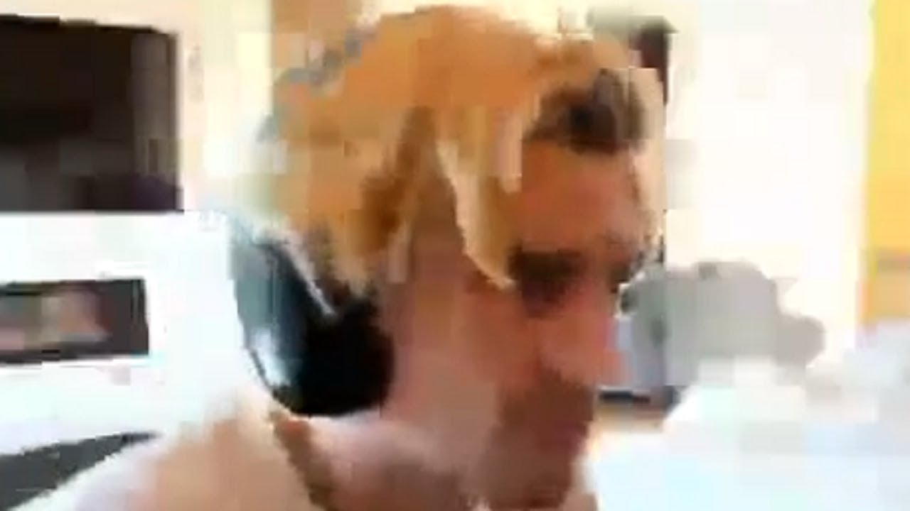 xqc clips that are freshly squeezed