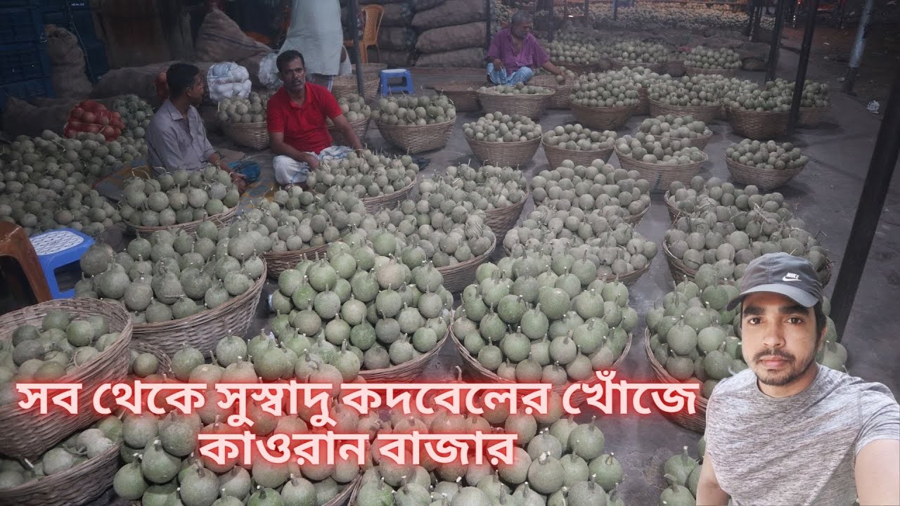 সব থেকে সুস্বাদু কদবেলের খোঁজে কাওরান বাজার।।লোভনীয় কদবেলের দাম কত।।Bangladeshi kodbel।