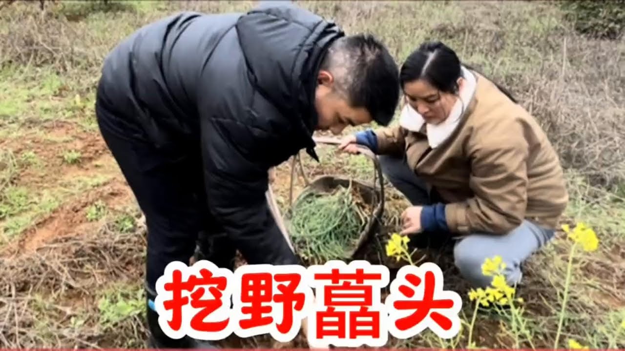 拉哥带娜娜挖了一篮子野藠头，做了刘大厨牌的藠头炒鸡蛋，贼拉香 #挖野葱 #挖野菜 #采野菜 #乡野田间 #野葱 #野菜 #野藠头 #野藠头炒鸡蛋