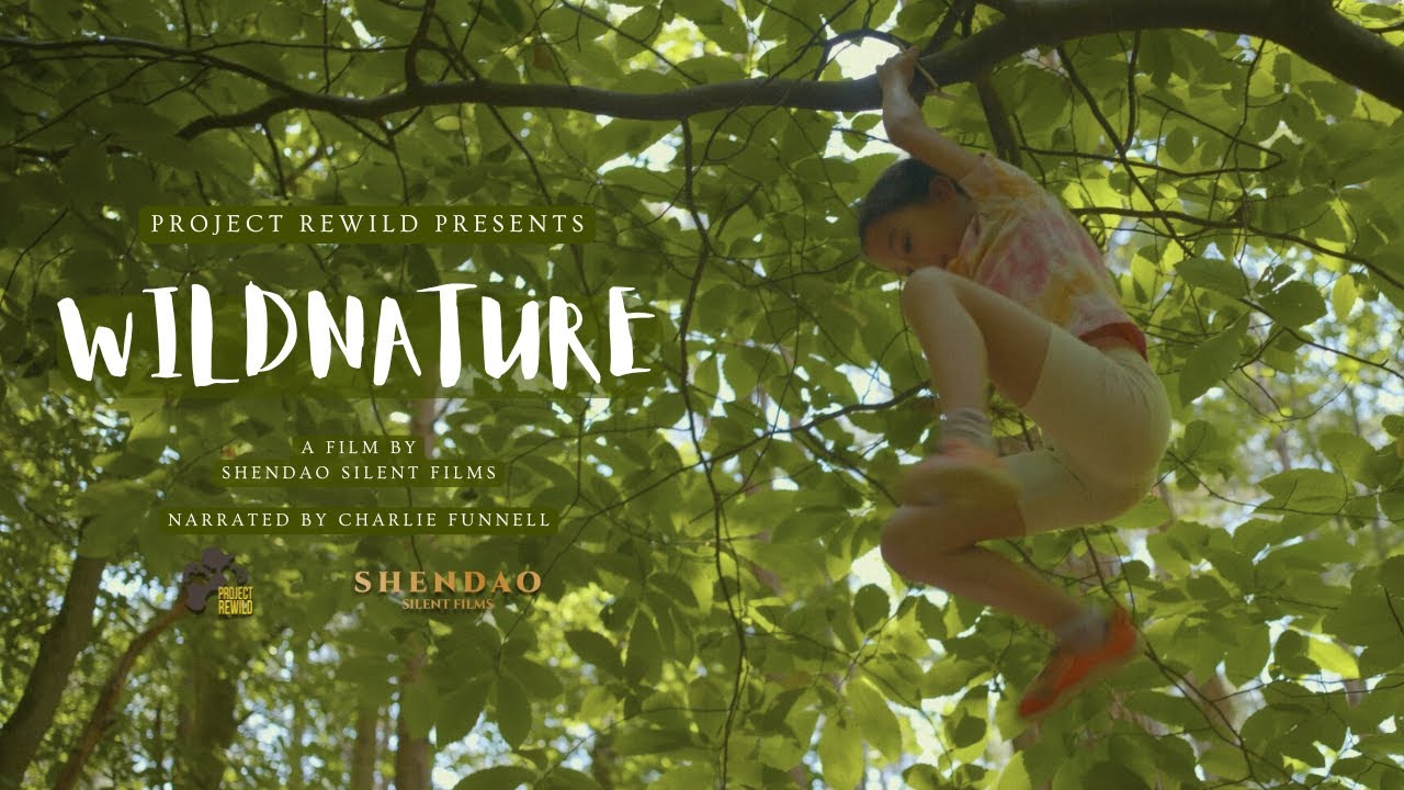 WILD NATURE