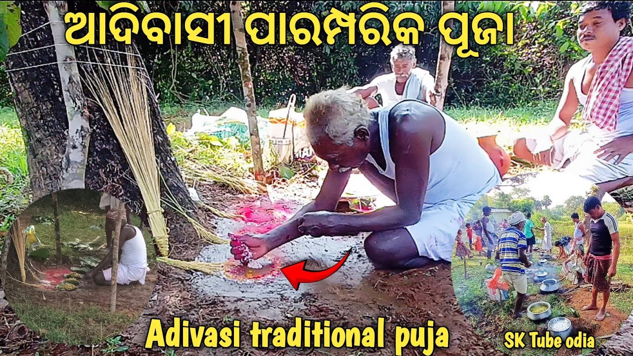 👉 ଆଦିବାସୀ ପାରମ୍ପରିକ ପୂଜା 🙏 /Adivasi Traditional puja/#odiavlog #@sktubeodia3117 
