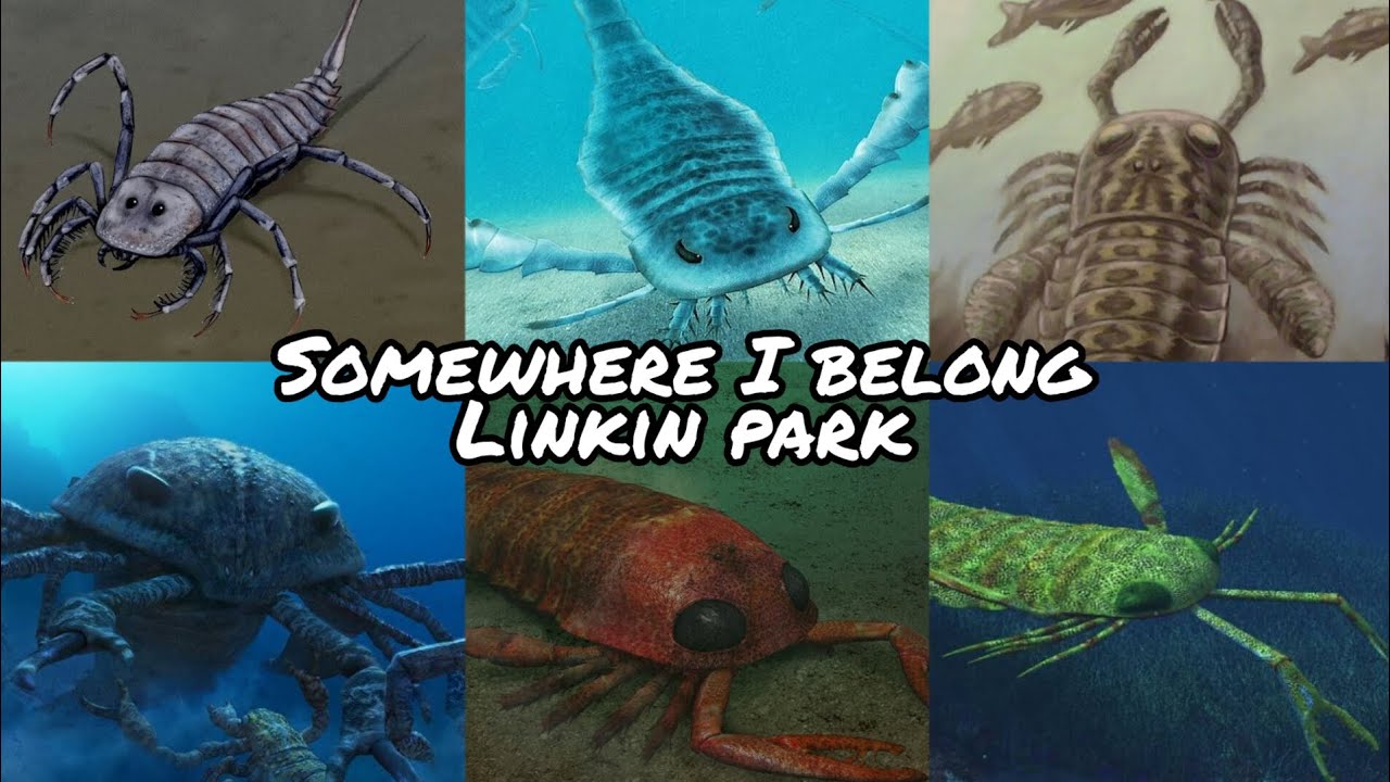 Sea Scorpion Tribute|Somewhere I Belong