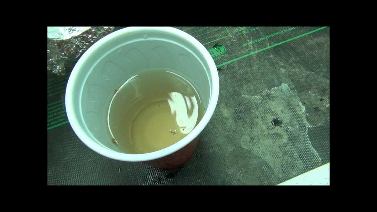 Pure Power Plant Germination Pre-Soak 02172012.wmv