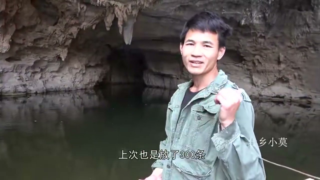 小莫花550块买青鱼，投放到大山洞里面养，能成功吗