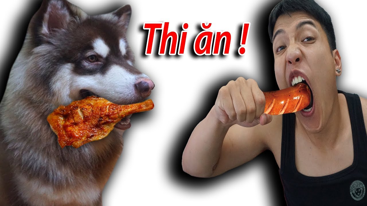 NTN - T&ocirc;i Đ&atilde; Thi Ăn Với Ch&oacute; V&agrave; C&aacute;i Kết (Eating Contest With My Alaska Dog)