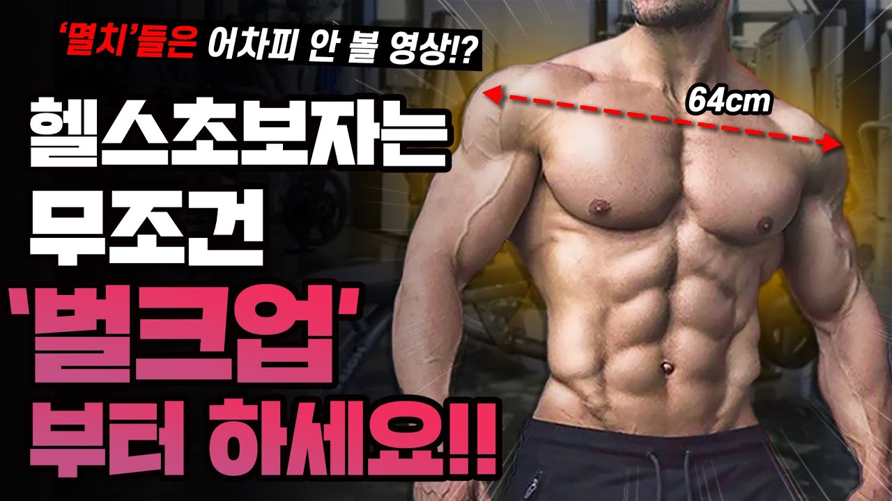 무조건 '벌크업'부터 하세요. 인생이 달라집니다.(린매스업/컷팅/상승다이어트)