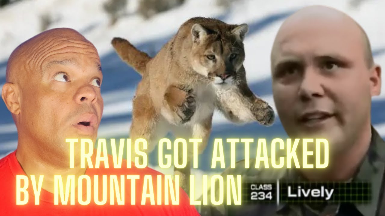 WHERE IS Travis Lively: BUDS Class 234