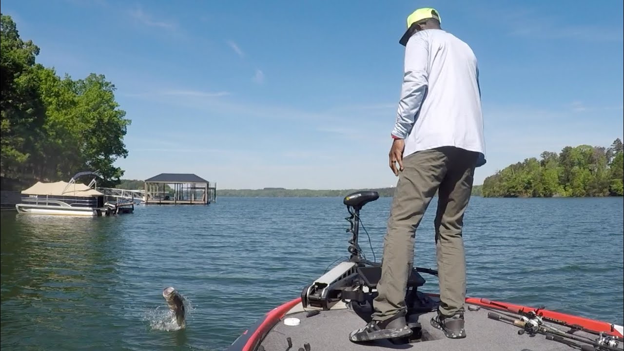 My Biggest Ned Rig Bass Ever!
