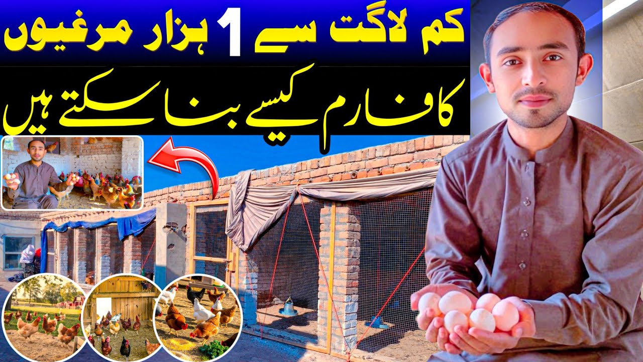 How to make low cost poultry farm