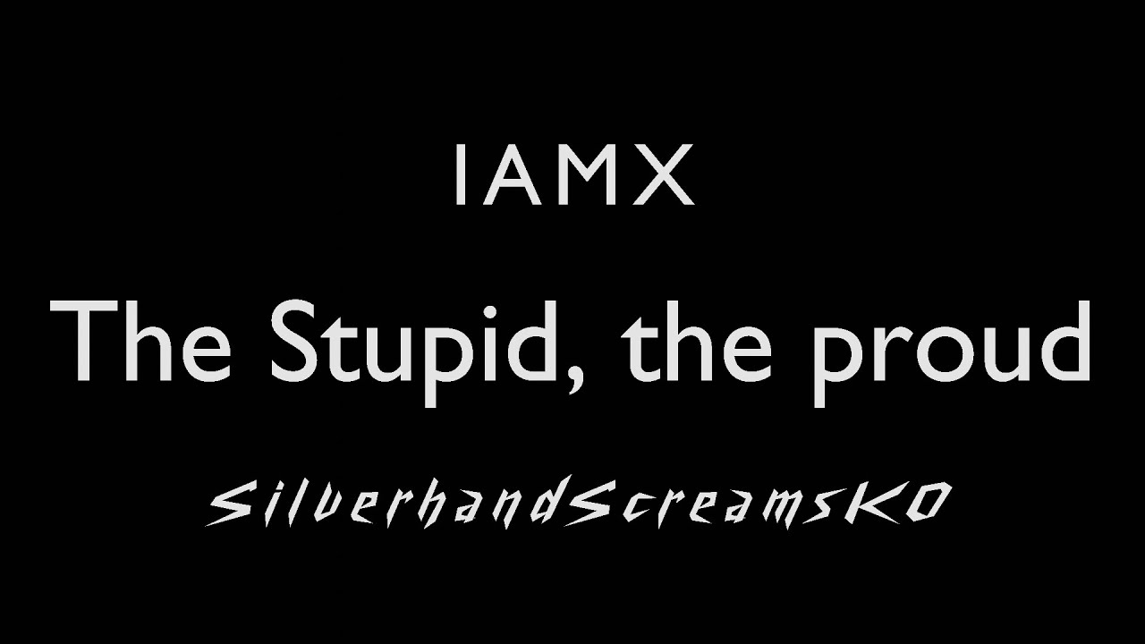 IAMX - The Stupid, the Proud [KARAOKE]