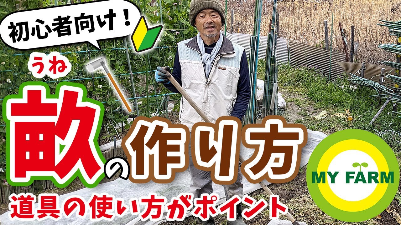 【畝立て】はじめての家庭菜園③ 畝（うね）の作り方を丁寧に実演解説します│有機栽培で野菜づくり