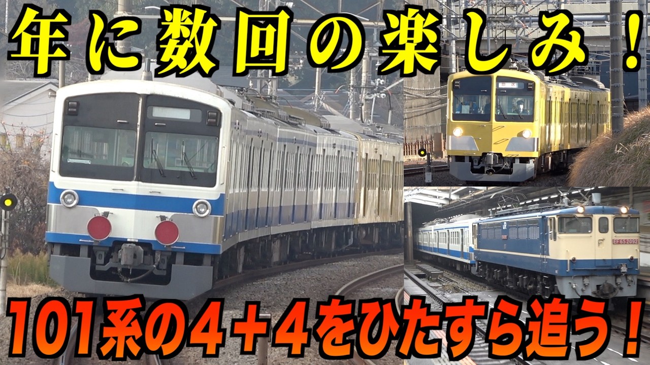 【非日常の極み】長編成の101系！多摩川線車両交換に伴う甲種輸送を追いまくる２日間！「あと数年で見納め」【西武101系】