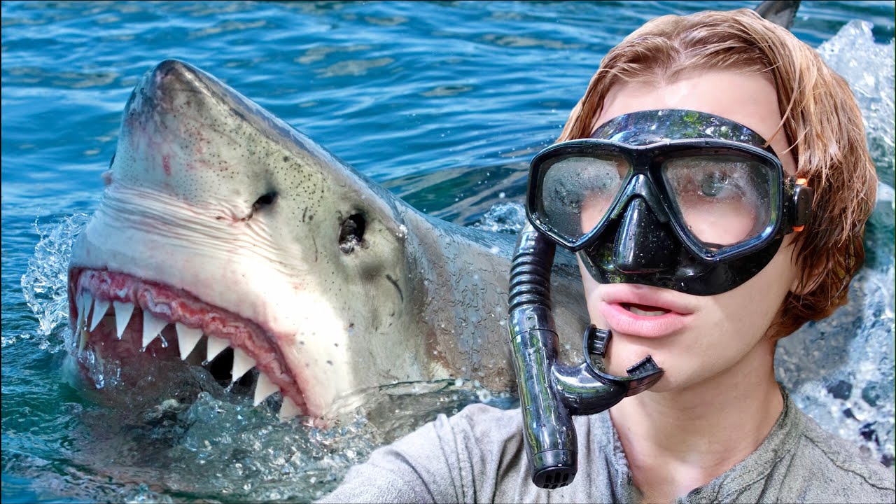 Diving with Great-White Sharks in South AUSTRALIA!
