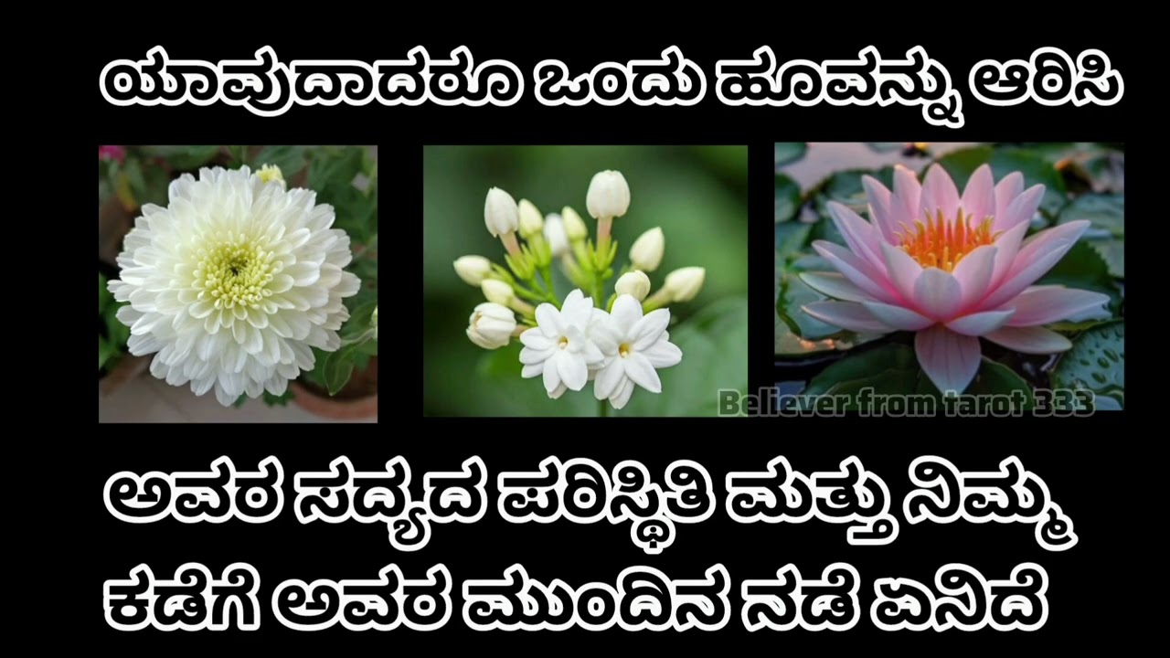 ಅವರ ಸದ್ಯದ ಪರಿಸ್ಥಿತಿ ಮತ್ತು ನಿಮ್ಮ ಕಡೆಗೆ ಅವರ ಮುಂದಿನ ನಡೆ ಏನಿದೆ ❤️ WhatsApp us 6361296597