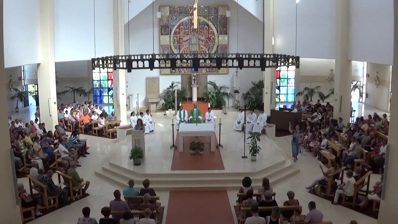 2019 - 
