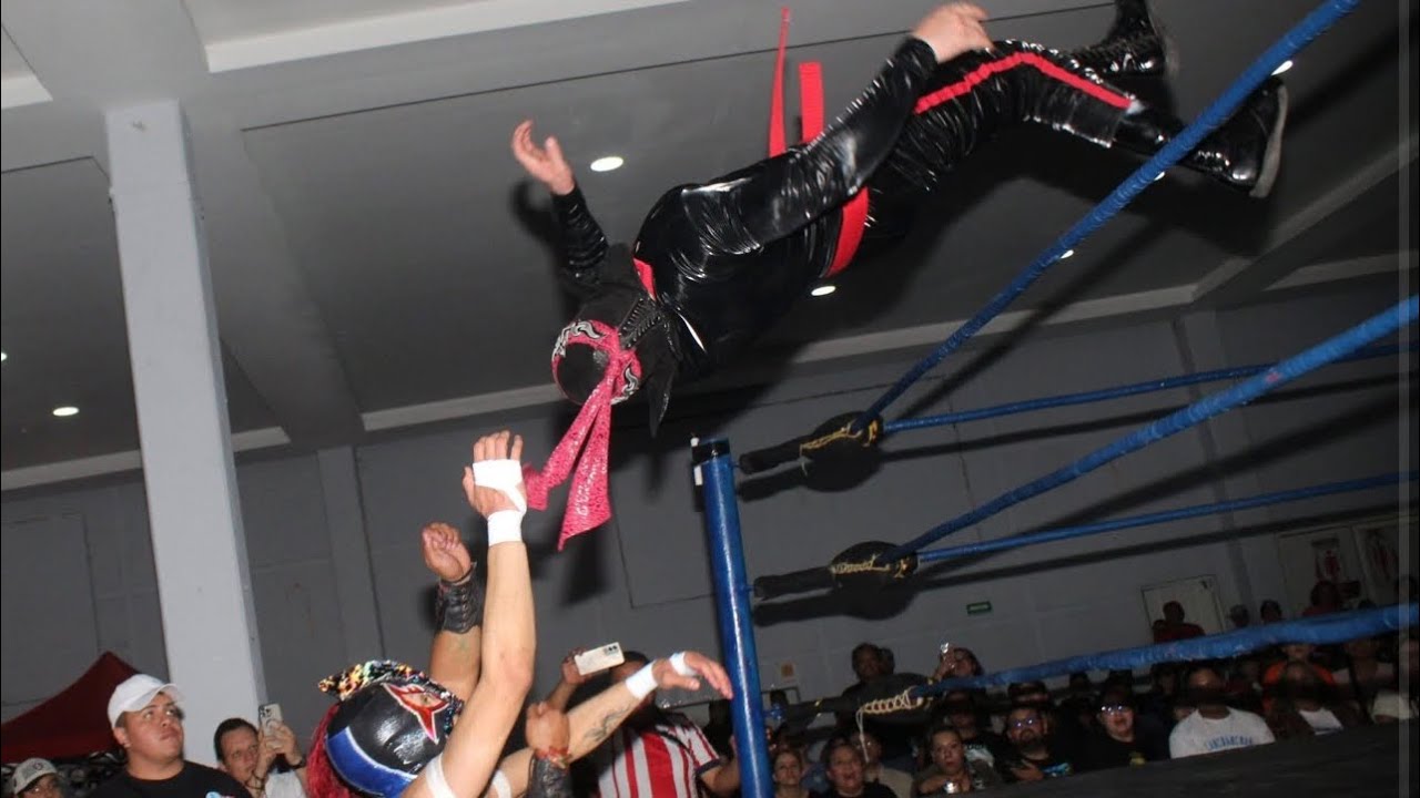 Hijo de Octagon Vs Alfa Jr Vs Yoruba.