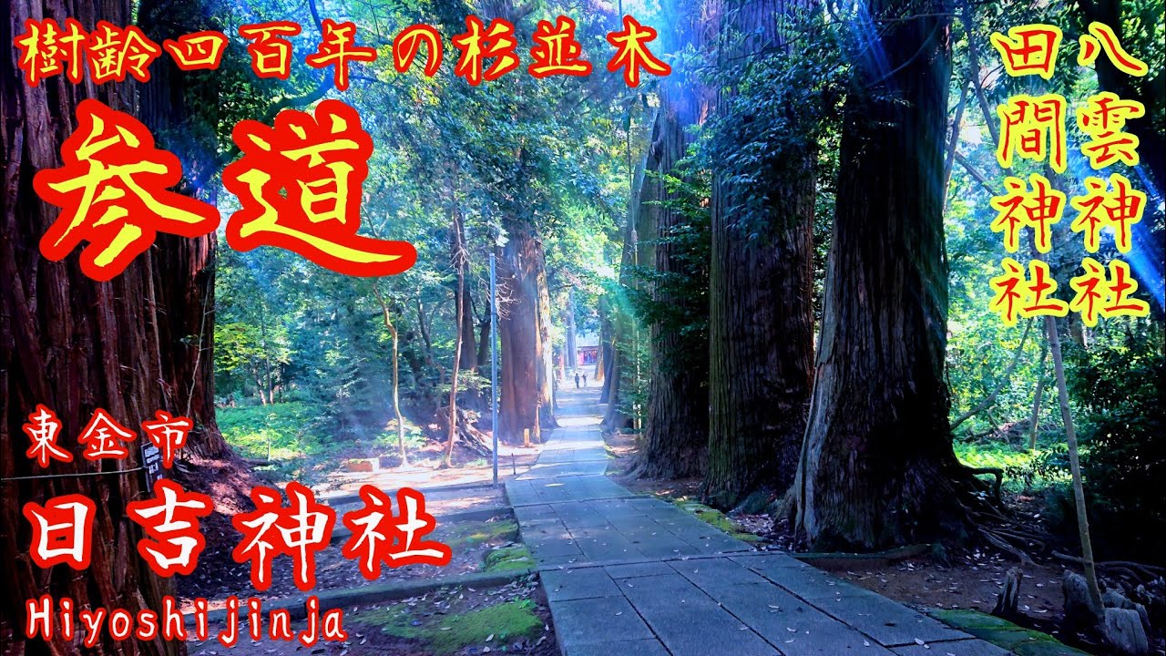 千葉 巨木が立ち並ぶ荘厳な参道『 東金日吉神社と田間神社』八雲神社