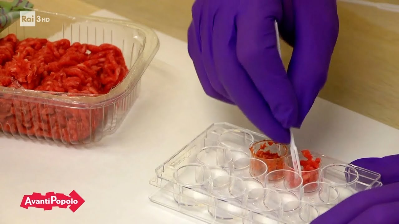 Il no dell'Italia alla carne coltivata - Avanti Popolo 21/11/2023
