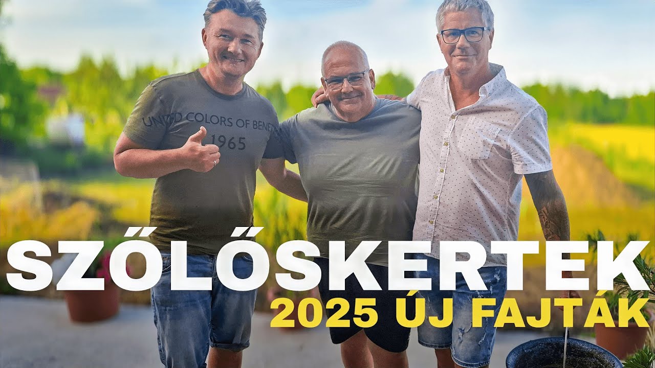🍇 SZŐLŐSKERTEK 3/03.rész ► 2025 ÚJ FAJTÁK