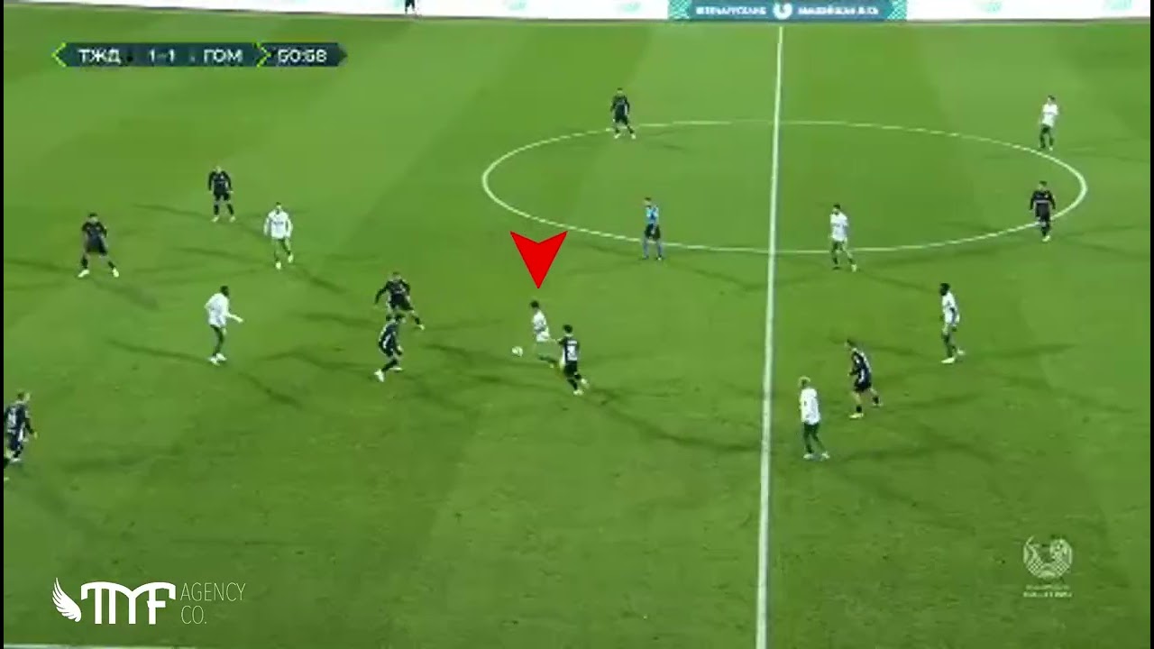 Melhores Momentos | Fernando Neto | 2024