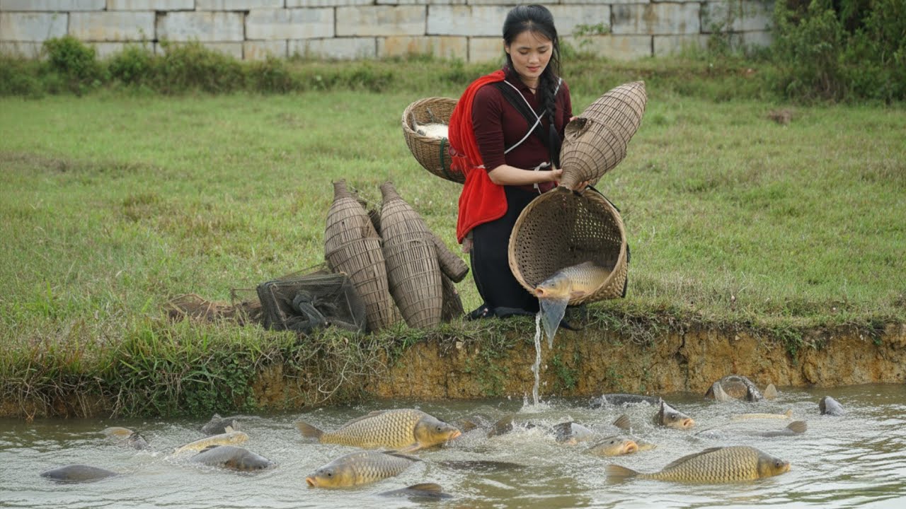 Using bamboo traps, set them in large lakes and harvest the big fish.