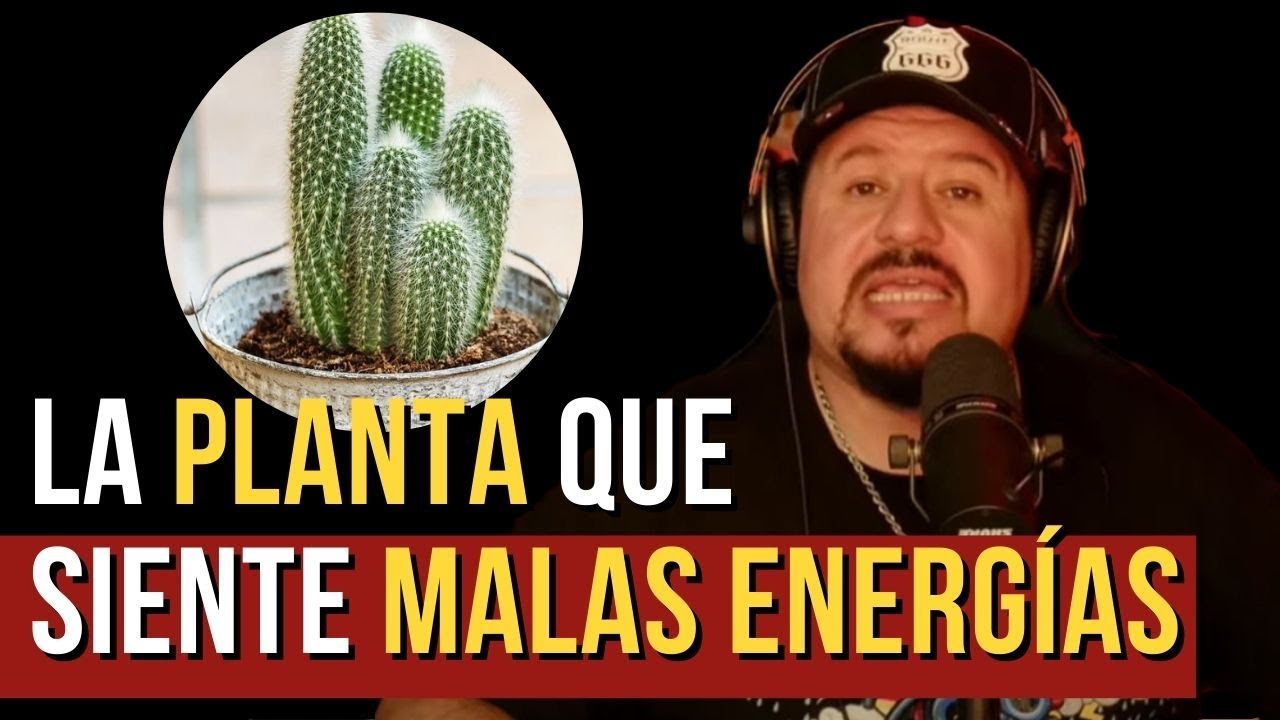 La PLANTA que DETECTA las MALAS ENERGÍAS | Relatos de Terror con Omar Crew