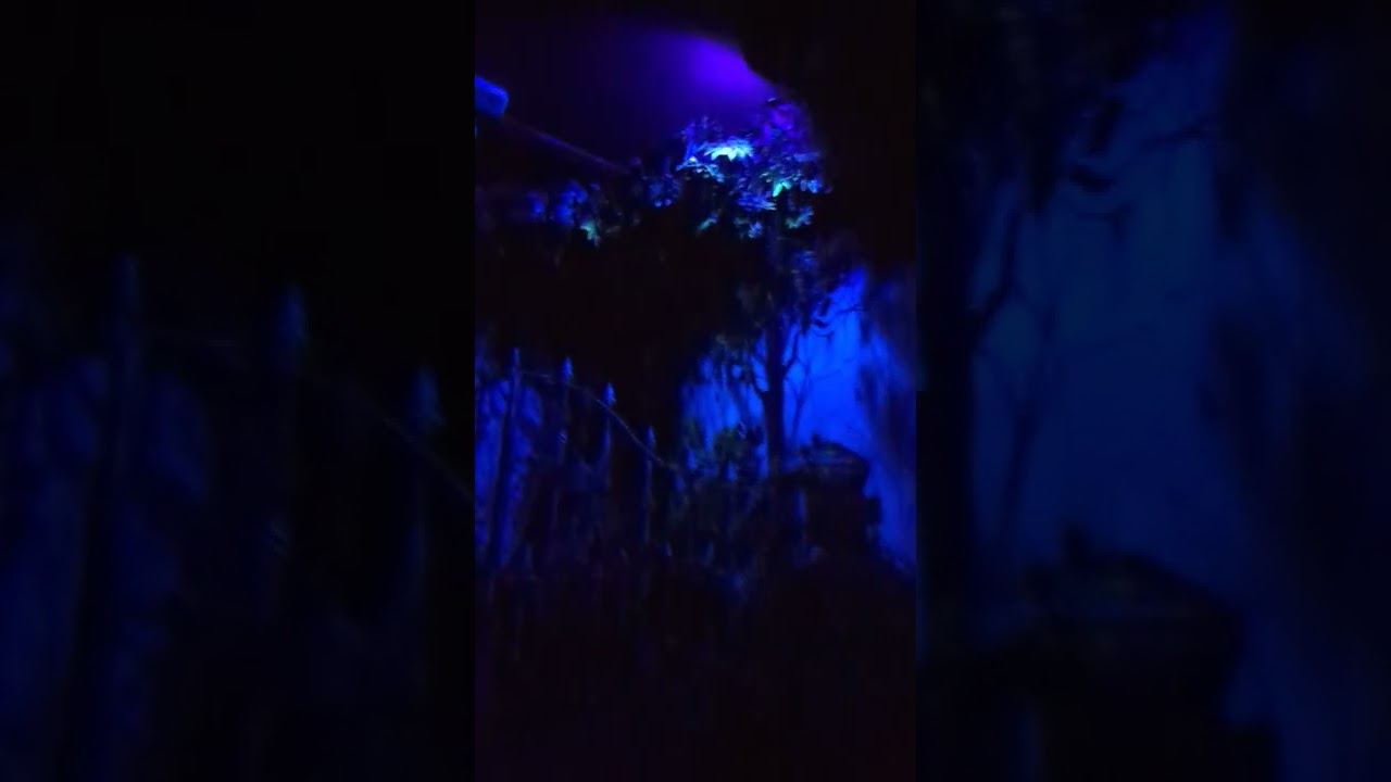 The Ghost Train 🚂