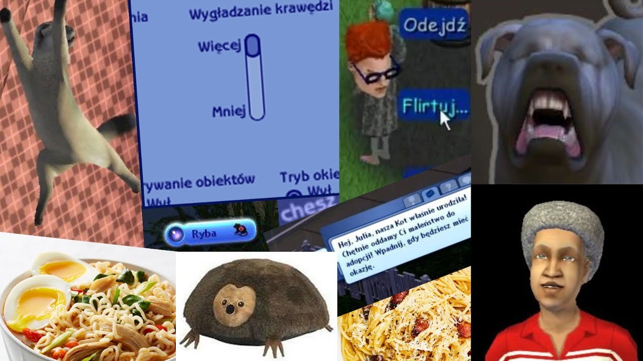 The Sims: Największa porcja błędów w tłumaczeniach! (#6)