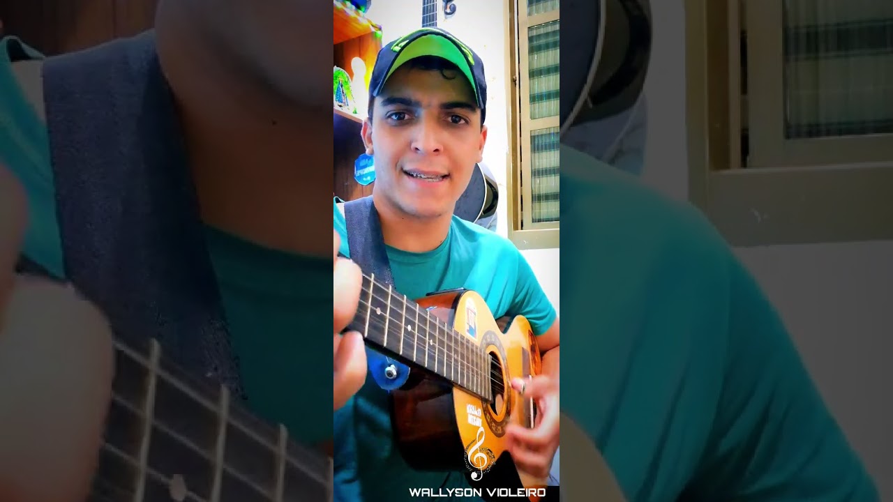 🎶MUSICA: BOIADEIRO ERRANTE 🐂