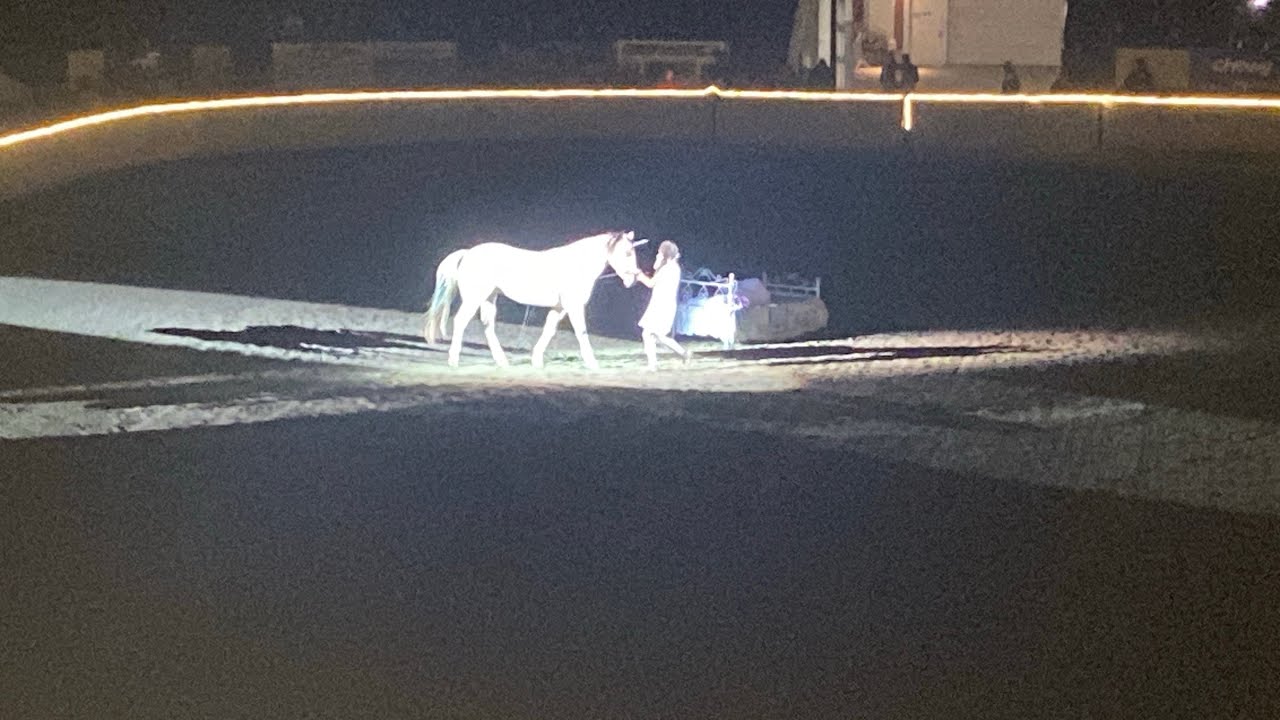 🏇🏇🏇 2024 - The Fantasia Horse Show (Full Movie)