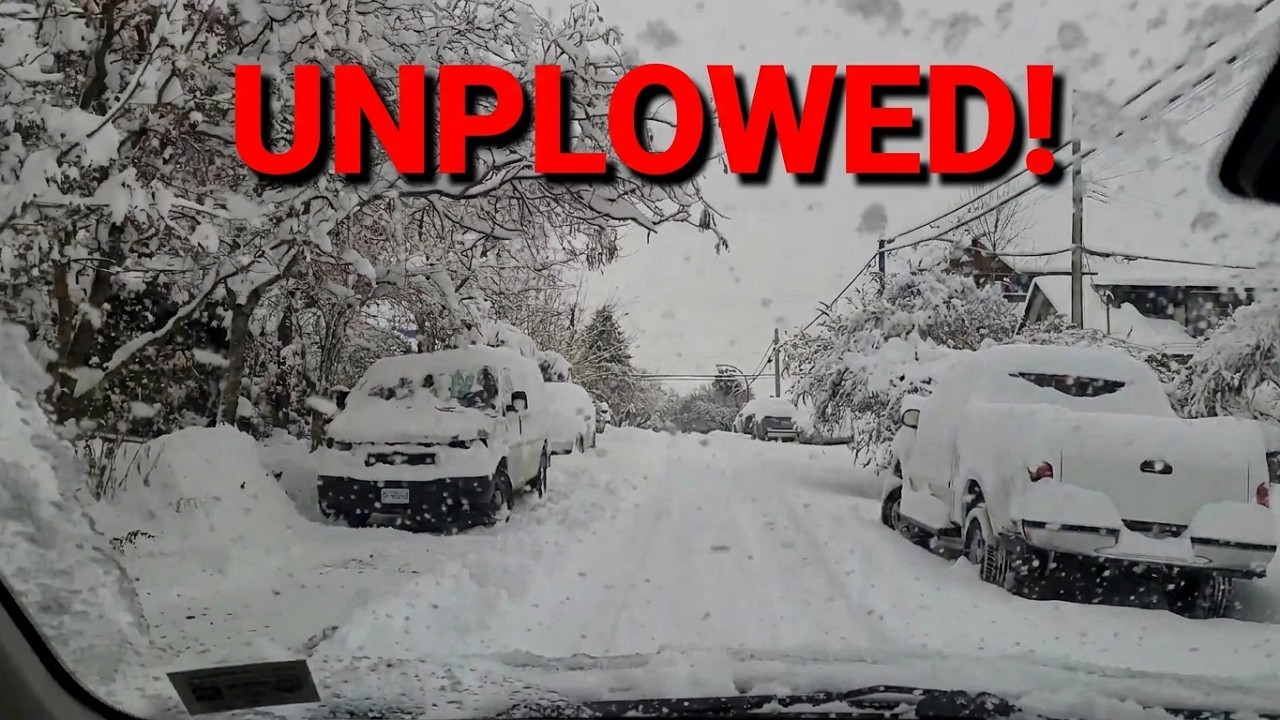❄️❄️❄️ Extreme Snow Storm Drive: Navigating through Unplowed Roads