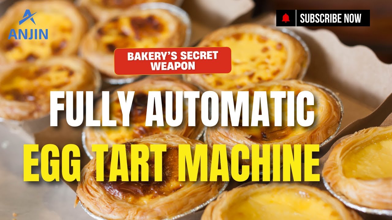 Automatic Tart Shell Press Machine for Bakery Production Easy & Fast Tart Shell Forming