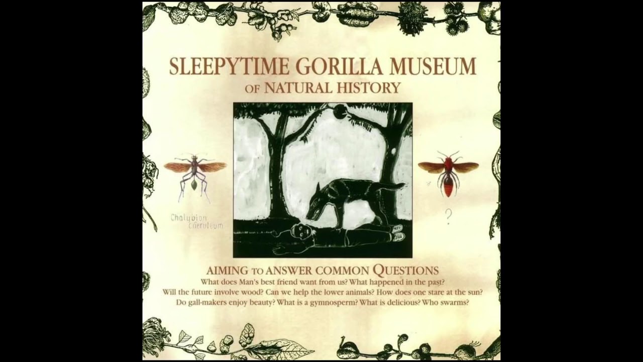 Of Natural History - Sleeptime Gorilla Museum [2004](USA)|Experimental/Alternative Rock