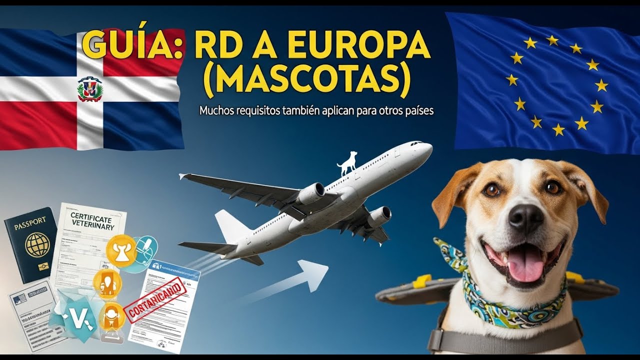 Cómo viajar con tu perro de RD a Europa (Requisitos y documentos)