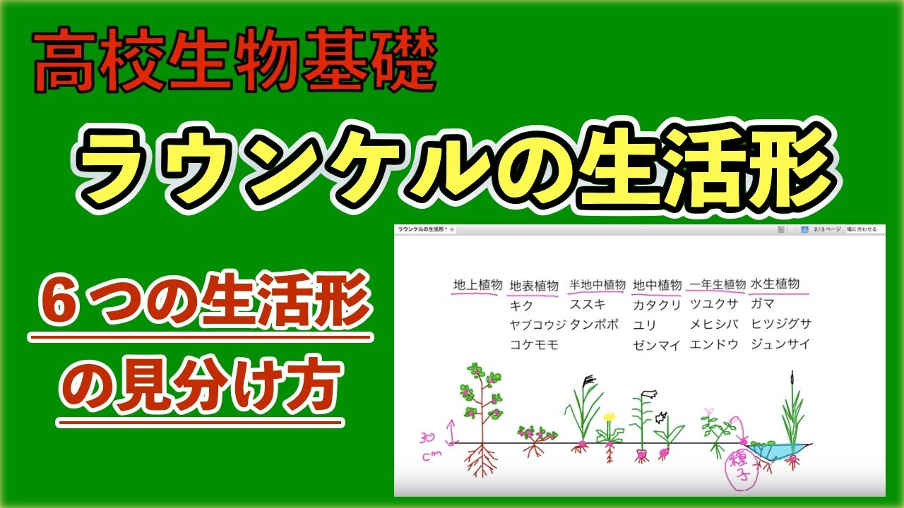高校生物基礎 「ラウンケルの生活形」