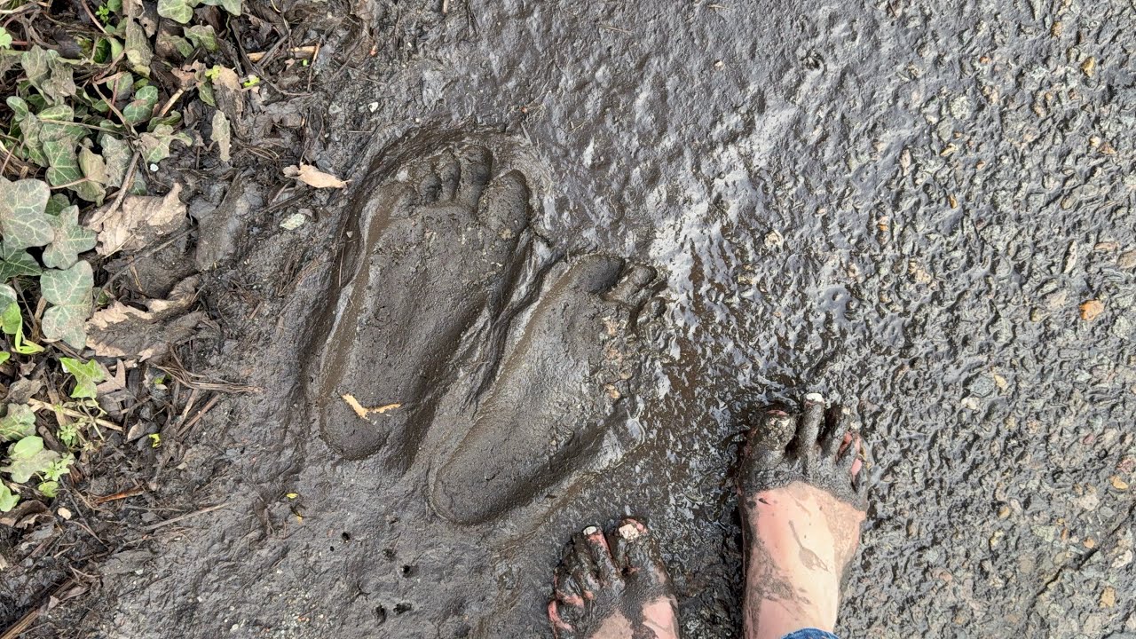 I told you it was slippy 
