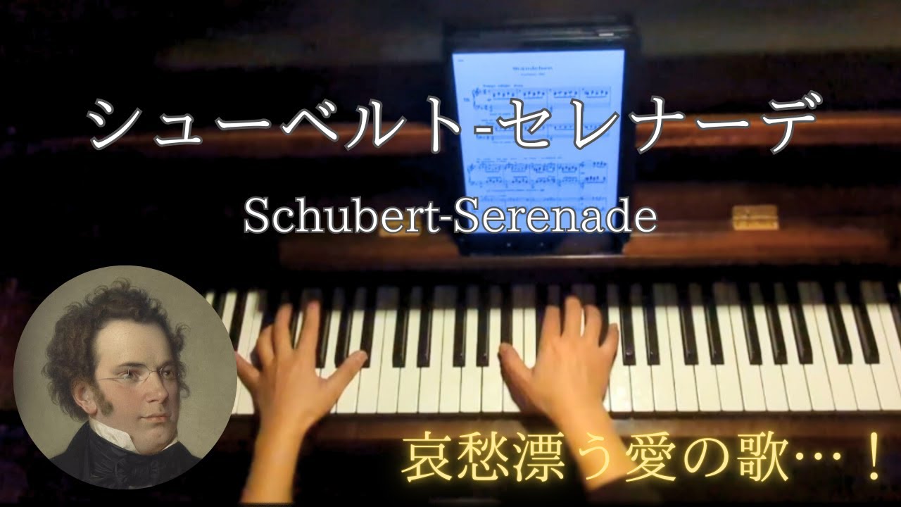 シューベルト/セレナーデ/Schubert-Serenade