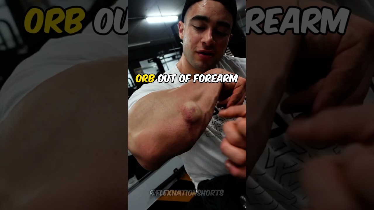Svein falzon This Sam Sulek Wannabe Just Wrecked His Life