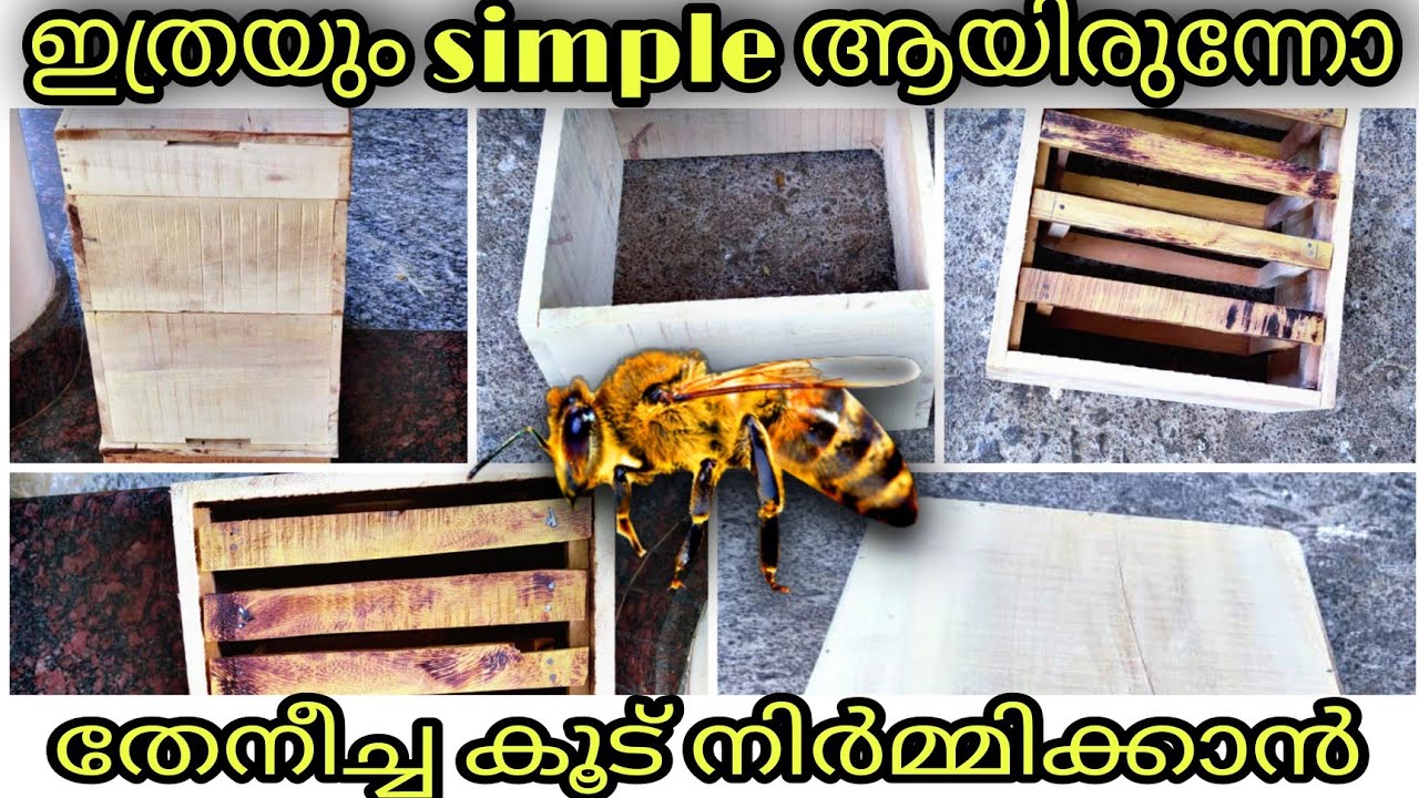 *വളരെ എളുപ്പത്തിൽ എങ്ങനെ തേനീച്ച കൂടുകൾ നിർമിക്കാം* How to make bee box easily #.🐝🐝🐝