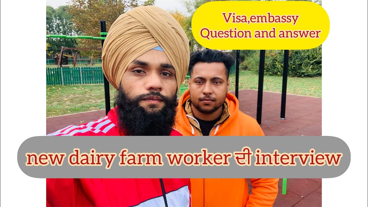 new Indian man work in Europe Hungary 🇭🇺/dairy farm worker interview ​⁠@Parmhungary #dairyfarm