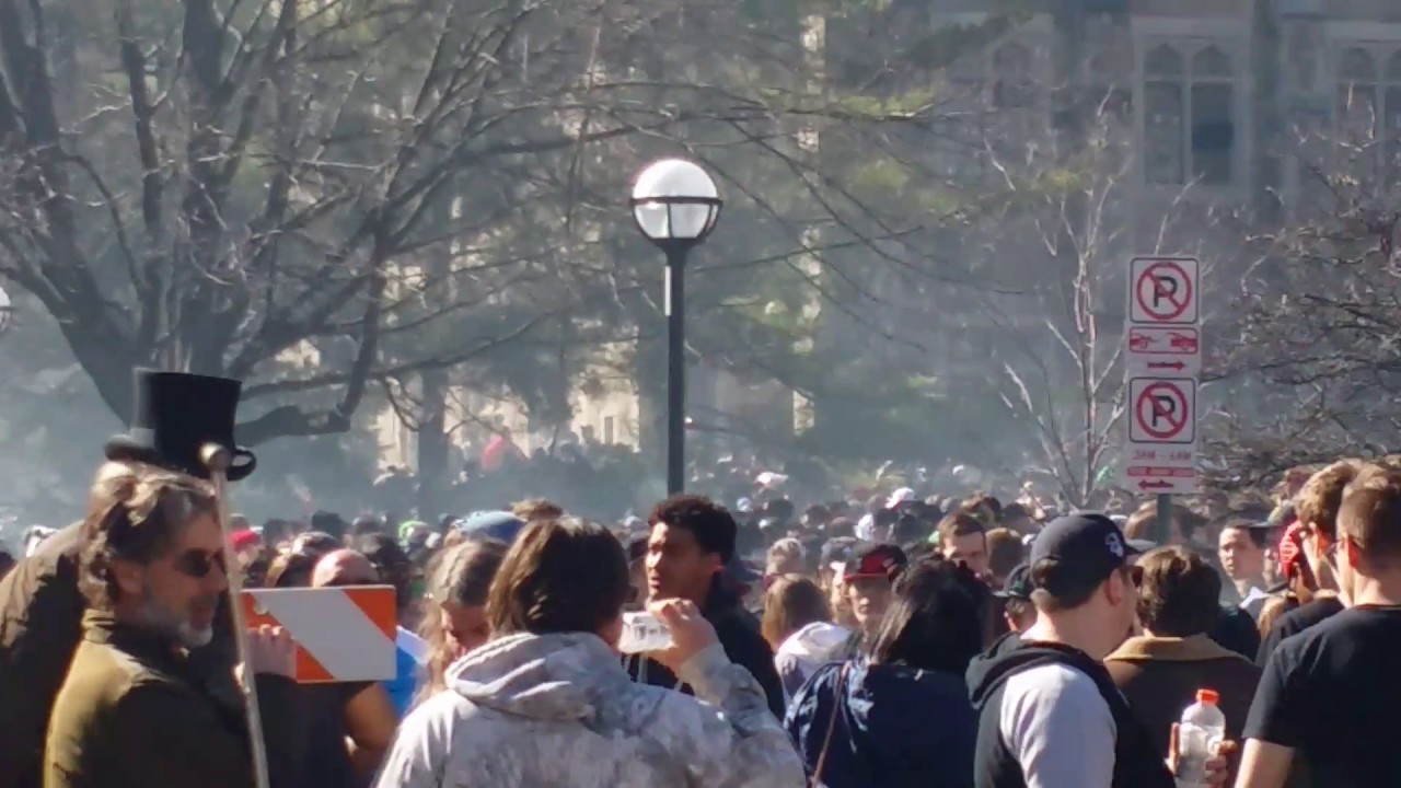 Hash Bash 2017 right after 420 countdown